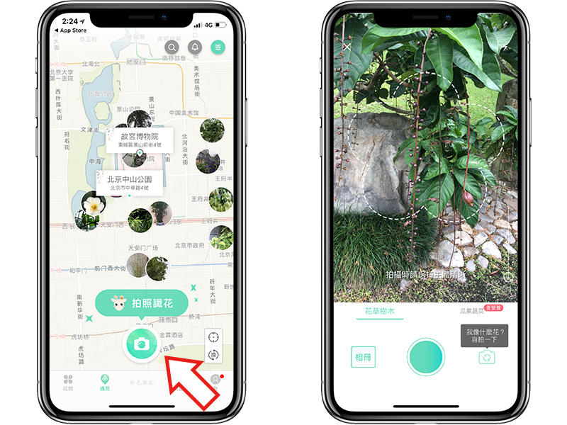 神奇的植物辨识、花朵辨识 App《形色》，拍照马上告诉你品种 第2张