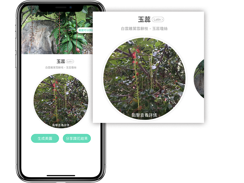 神奇的植物辨识、花朵辨识 App《形色》，拍照马上告诉你品种 第3张