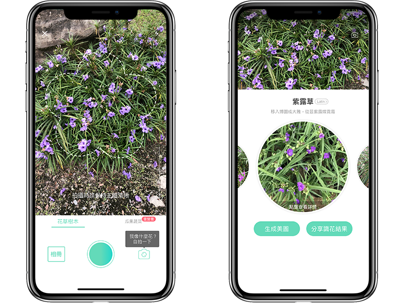 神奇的植物辨识、花朵辨识 App《形色》，拍照马上告诉你品种 第5张