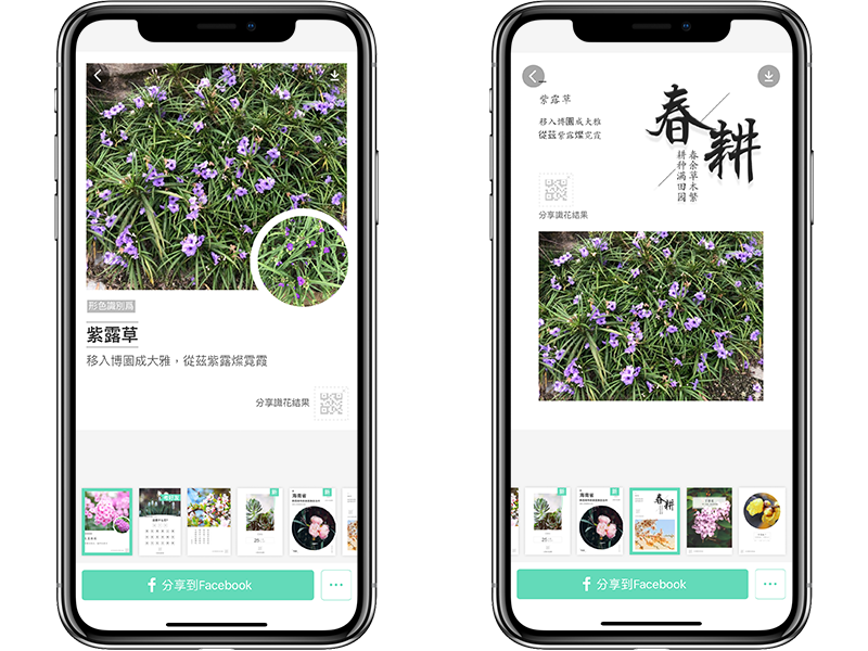 神奇的植物辨识、花朵辨识 App《形色》，拍照马上告诉你品种 第6张