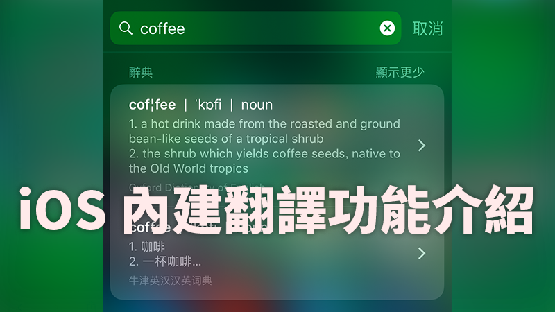 iOS 内置辞典，在 Spotlight、Safari 里直接查询单字意思 第1张