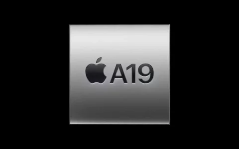 Meta 开放 Instagram 用户 Reels 算法控制权